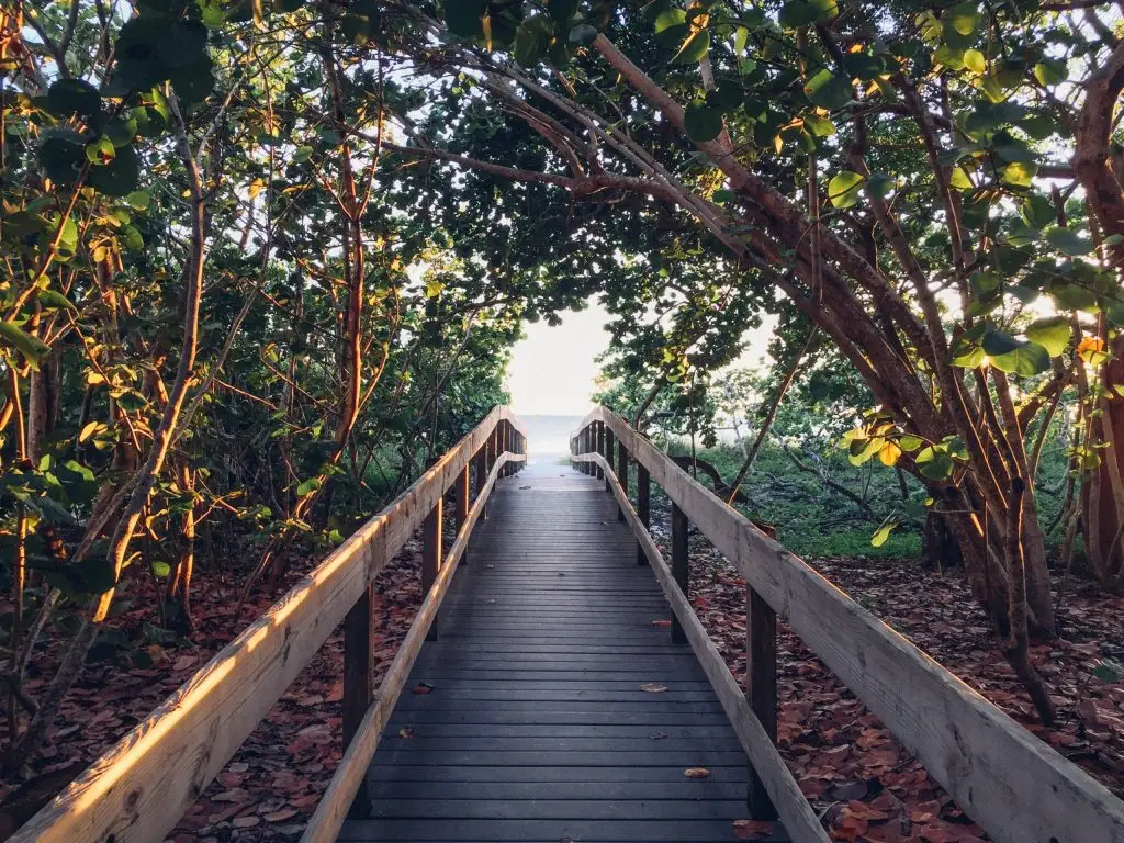 How Sober Living Routines Help You Build Lasting Resilience